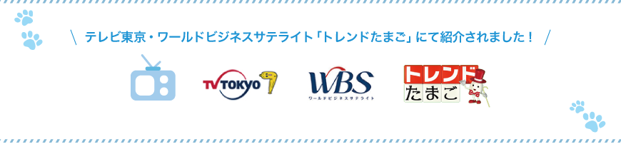 テレビ東京・ワールドビジネスサテライト「トレンドたまご」で紹介されました！